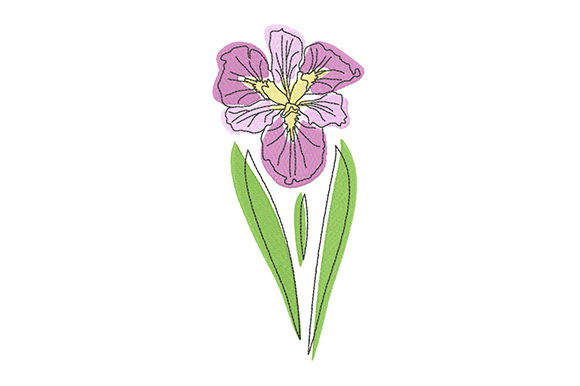 Elegant Pink Iris Embroidery Review