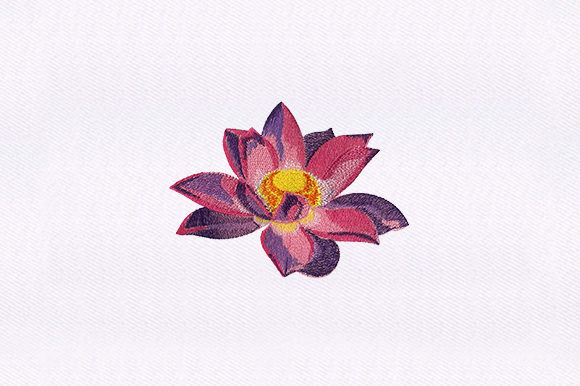Exotic Flower Design: A Designer’s Real-World Review
