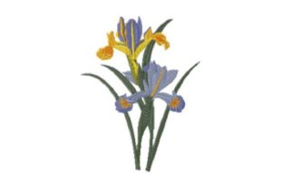Iris Beauty: A Vintage-Inspired Embroidery Design Review