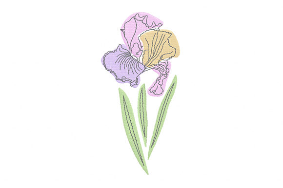 Pastel Iris Flower Embroidery Review for Boutique Sweatshirts