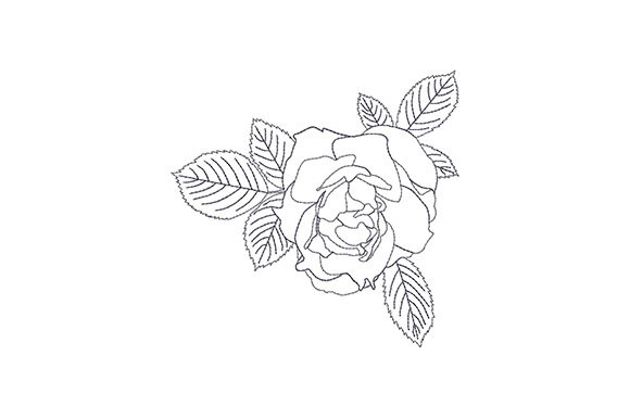 Rose Bud with Three Leaves: A Designerβs Review